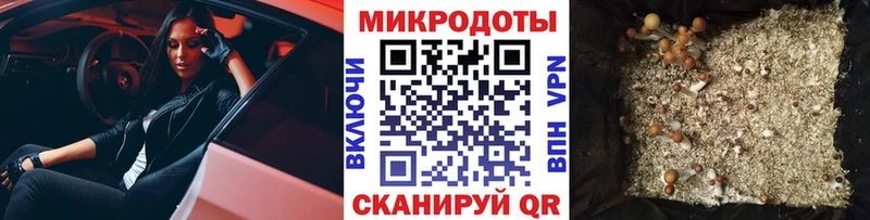 Псилоцибиновые грибы Cubensis  Суровикино 